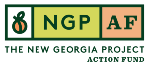 New Georgia Project Action Fund